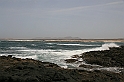 Kanary_2010 133